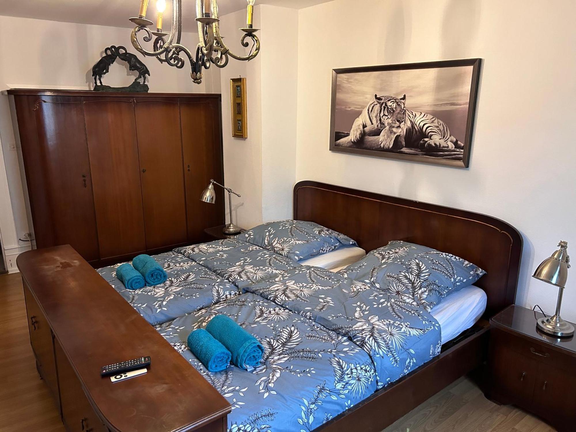 Spacious Apartment City Centre Strasburgo Esterno foto